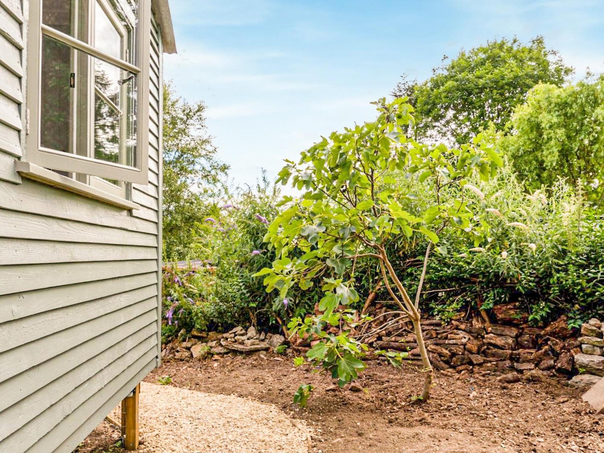 Fig Tree Shepherds Hut بريدبورت المظهر الخارجي الصورة